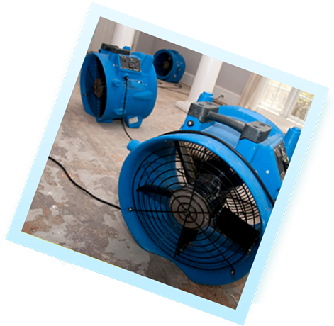 Water Damage Restoration In Studio City